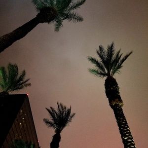 Meet your Posher, Tricia